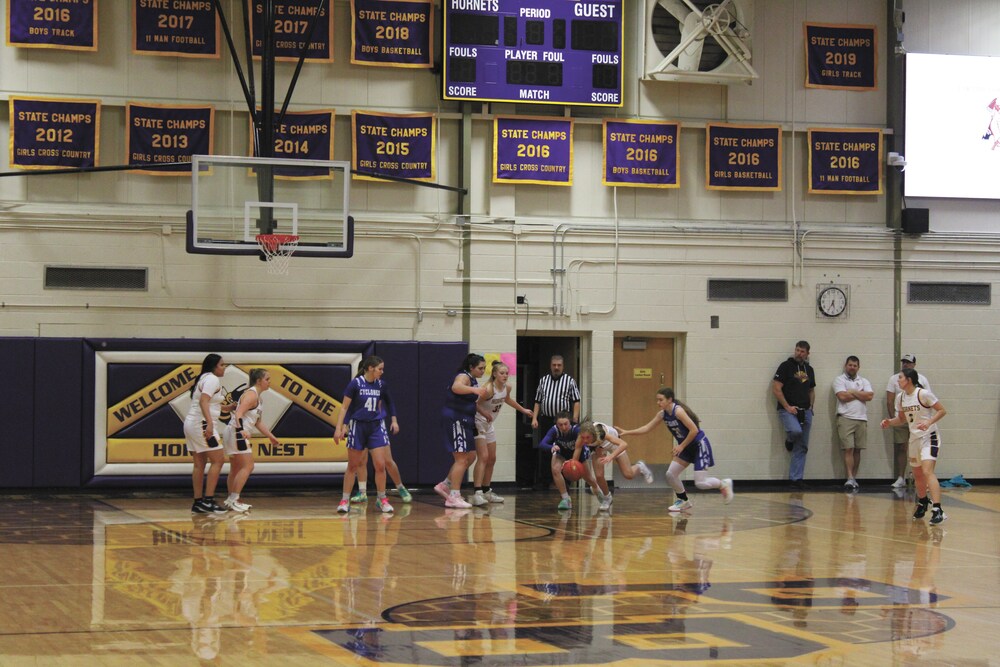 Lady Hornets take on Union Hill in area playoff game at The Bluff